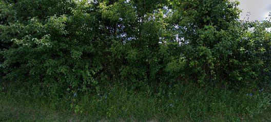 Branch County CADV/Shelterhouse